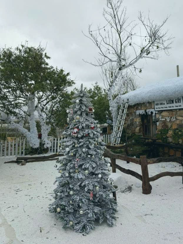 Cây thông Noel tại Trạm ký ức - Đà Lạt